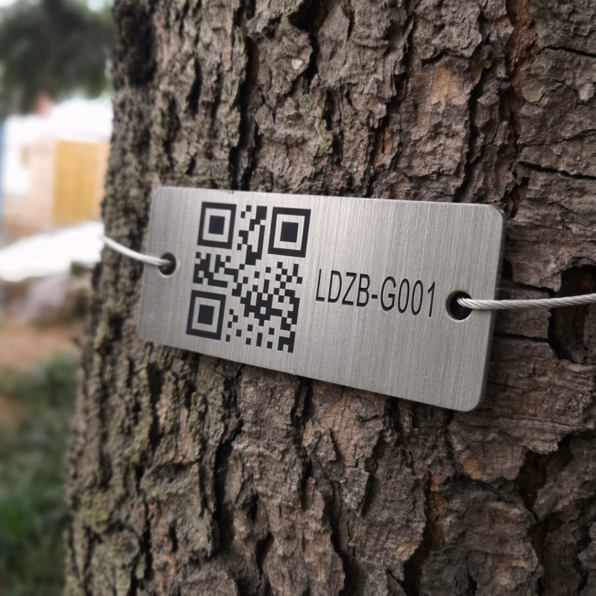 qr code tree tags